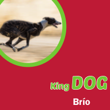 King Dog Brio