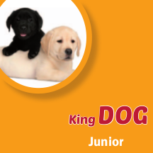 King Dog Junior